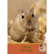 Gerbil Birthday Card
