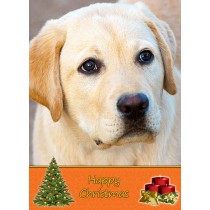 Golden Labrador christmas card