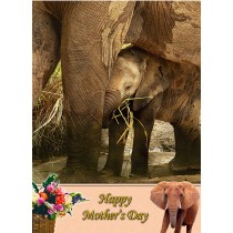 Elephant Mother's Day Card
