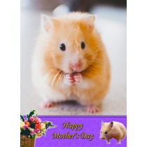 Hamster Mother's Day Card