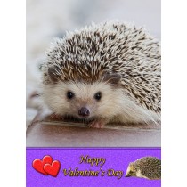 Hedgehog Valentine's Day Card