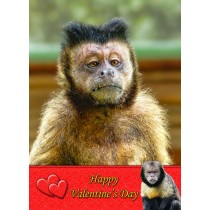 Monkey Valentine's Day Card