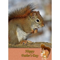 Squirrel Father's Day Card