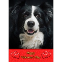 Border Collie Valentine's Day Card