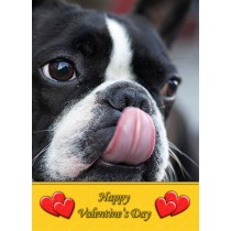 Boston Terrier Valentine's Day Card