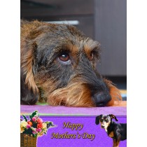 Dachshund Mother's Day Card