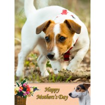 Jack Russell Mother's Day Card