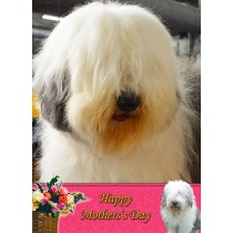 Old English Sheepdog Mother's Day Card