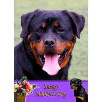 Rottweiler Mother's Day Card