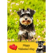 Miniature Schnauzer Valentine's Day Card