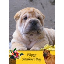 Shar Pei Mother's Day Card