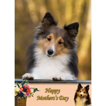 Shetland Sheepdog Mother's Day Card