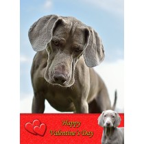 Weimaraner Valentine's Day Card