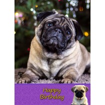 Pug Dog Birthday Card