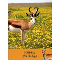 Antelope Birthday Card