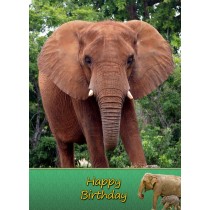 Elephant Birthday Card
