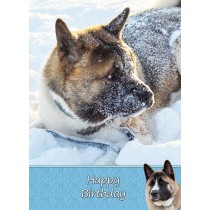 Akita Dog Birthday Card
