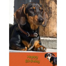 Dachshund Sausage Dog Birthday Card