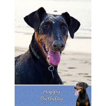 Doberman Birthday Card