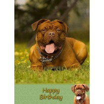 Dogue De Bordeaux Birthday Card
