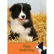 Border Collie Dog Father's day card