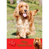 Cocker Spaniel Valentine's Day Card
