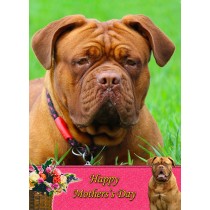 Dogue de Bordeaux Mother's Day Card