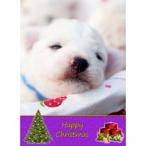 Bichon Frise Christmas Card