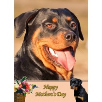 Rottweiler Mother's Day Card