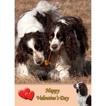 Springer Spaniel Valentine's Day Card