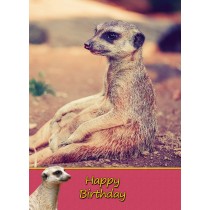 Meerkat Birthday Card