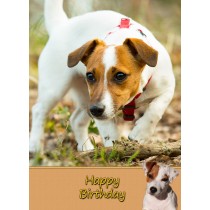 Jack Russell Dog Birthday Card