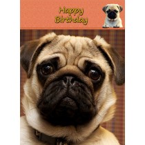 Pug Dog Birthday Card