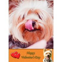 Yorkshire Terrier Valentine's Day Card