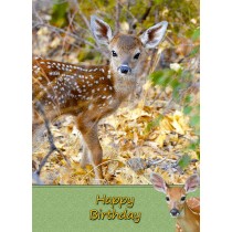 Deer Birthday Card