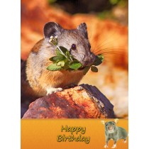 Mouse Birthday Card