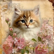 Cat Kitten Art Birthday Square Card (Design 10)