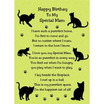 from The Cat Verse Poem Birthday Card (Lime, Special Mam)