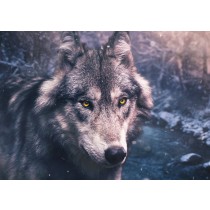 Wolf Greeting Card