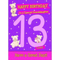 13 Today Birthday Card (Granddaughter)