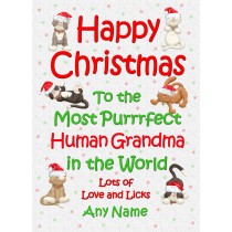 Personalised From the Cat Christmas Card (Human Grandma, White)