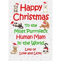 From the Cat Christmas Card (Human Mam, White)
