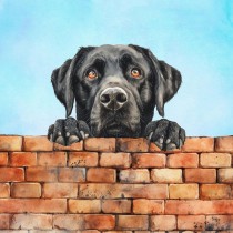 Black Labrador Dog Art Square Blank Greeting Card