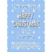 From The Bump Pregnancy Christmas Card (Grandma, Blue)