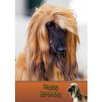 Afghan Hound Dog Birthday Card