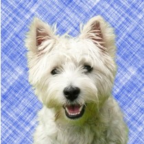 West Highland Terrier Dog Greeting Card