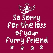 Pet Cat Sympathy Card (Furry Friend)