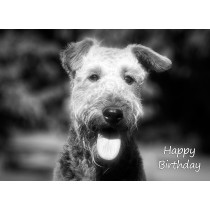 Airedale Black and White Art Birthday Card