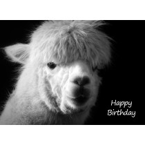 Alpaca Black and White Art Birthday Card