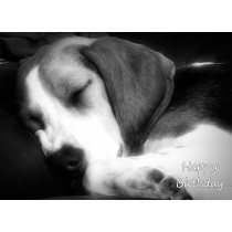 Beagle Black and White Art Birthday Card